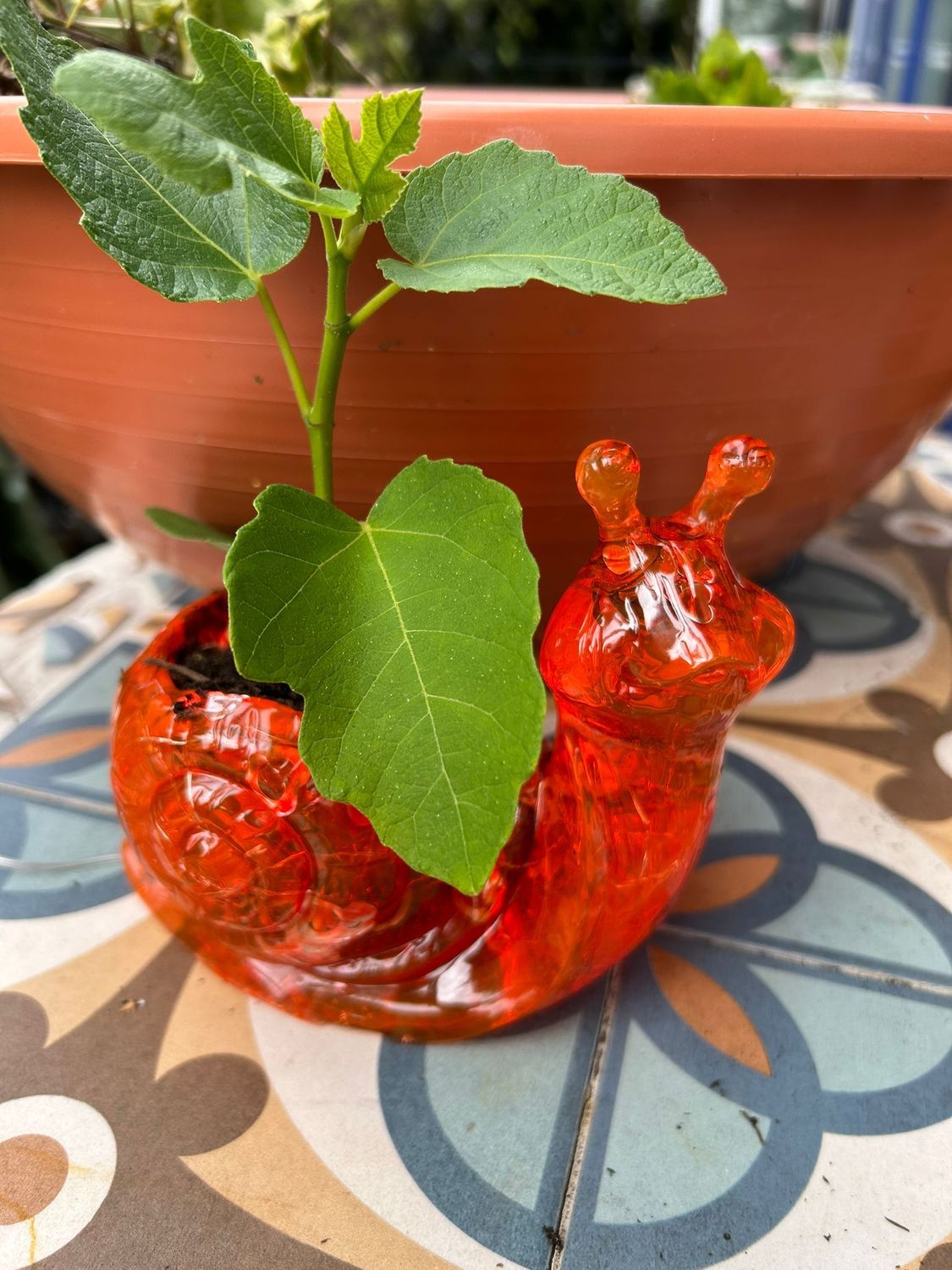 Beleuchteter Blumentopf Schnecke