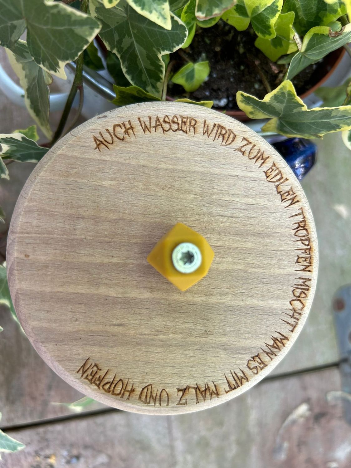 Bierglasdeckel aus Holz - Biergartendeckel aus Holz -auch Wasser wird zum edlen Tropfen