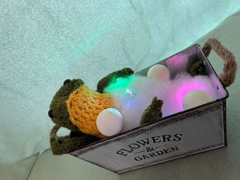 Mr. Bullfrog in der Badewanne – ein bezaubernder beleuchteter Frosch für dein Zuhause!