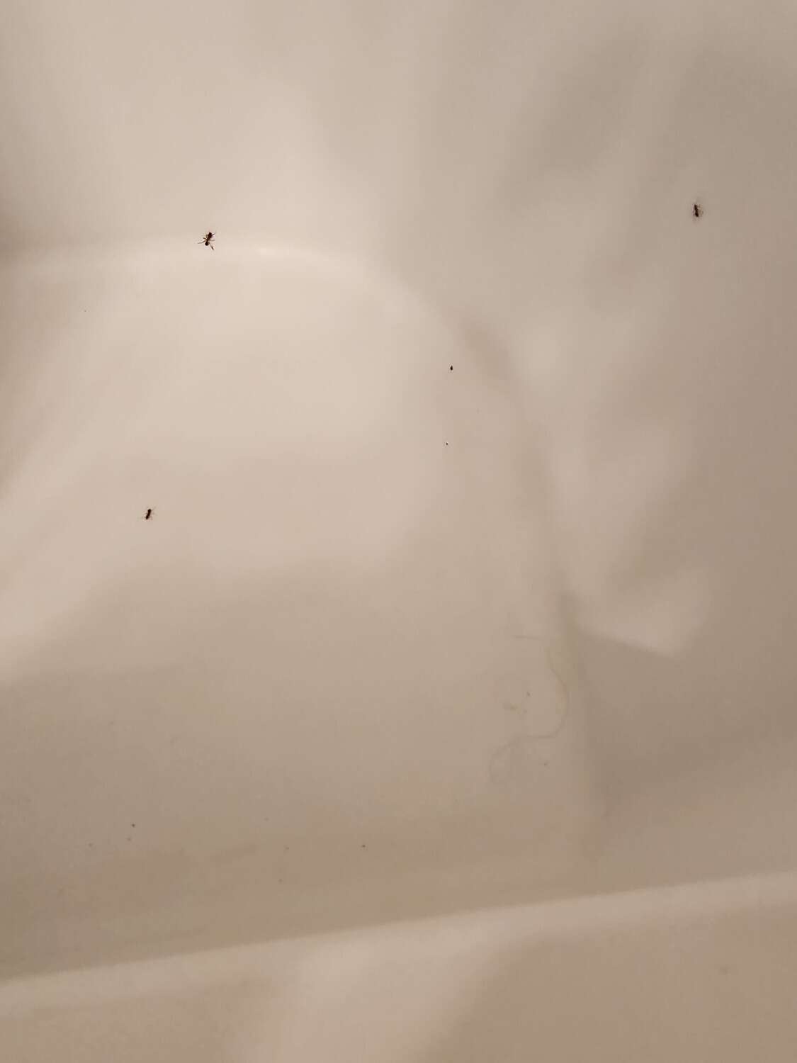 Pictures of the property