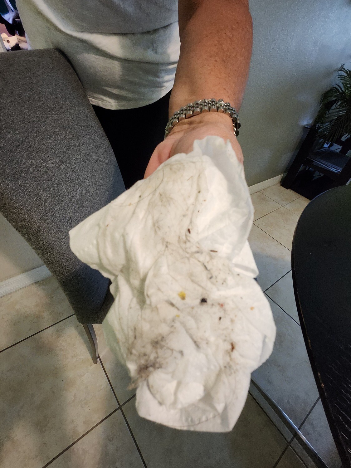 Pictures of the property