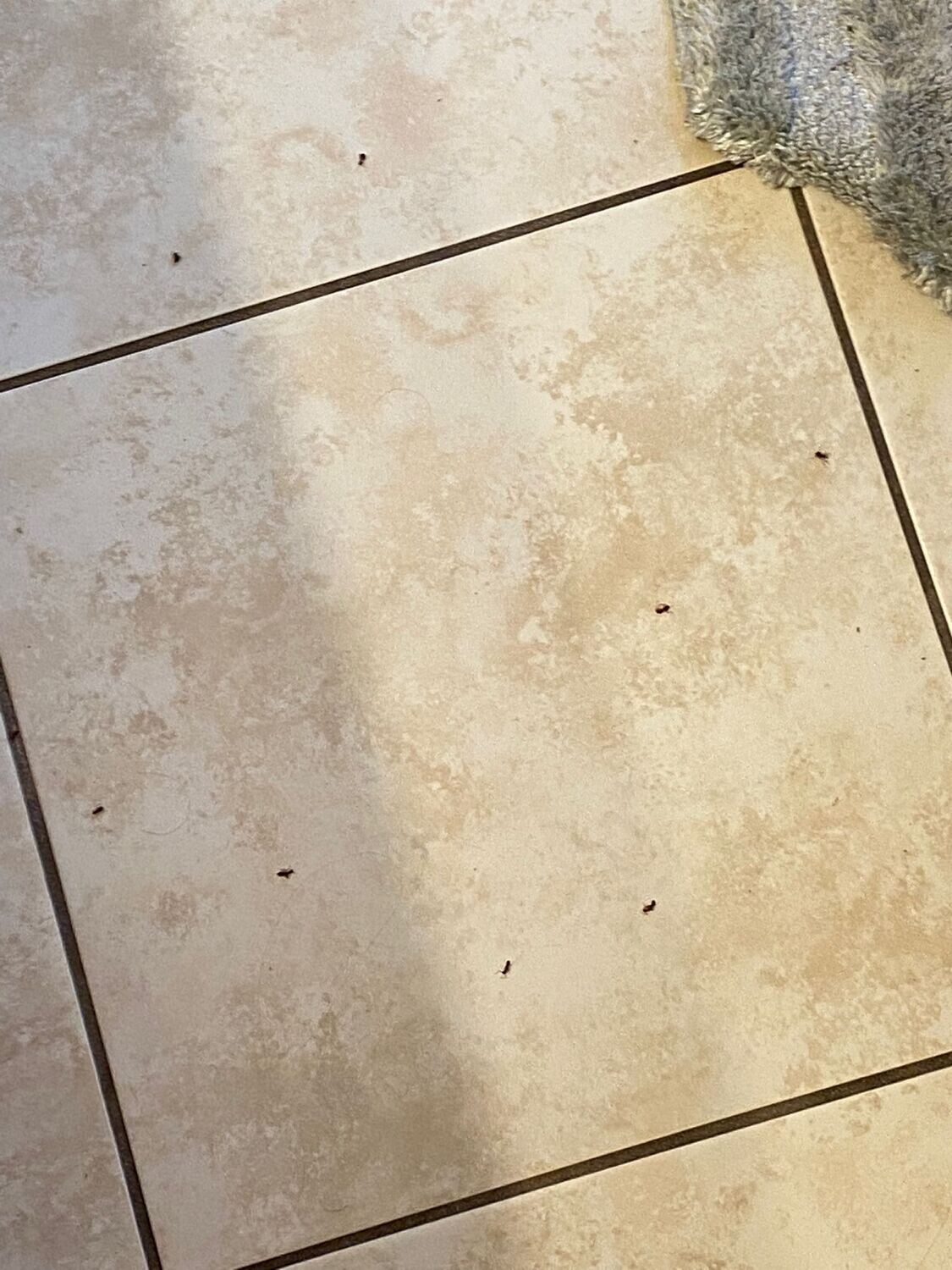 Pictures of the property