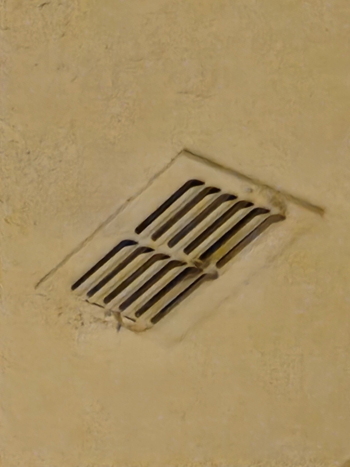 Pictures of the property