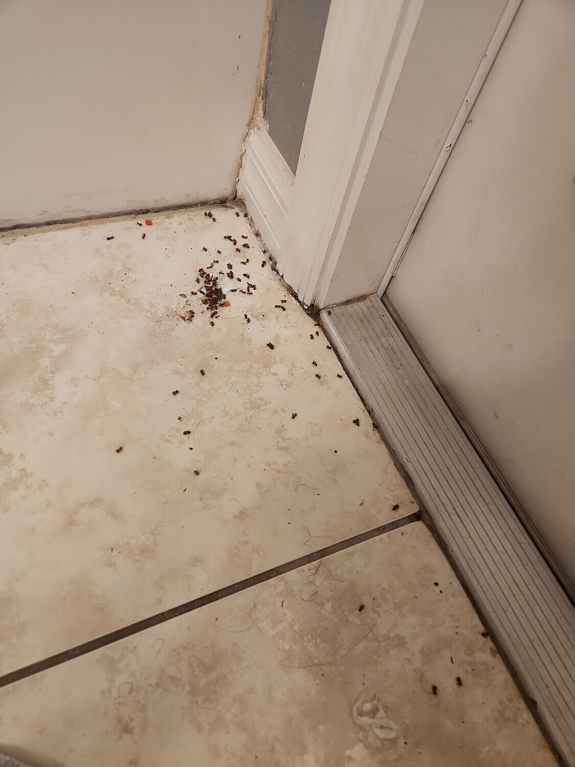 Pictures of the property
