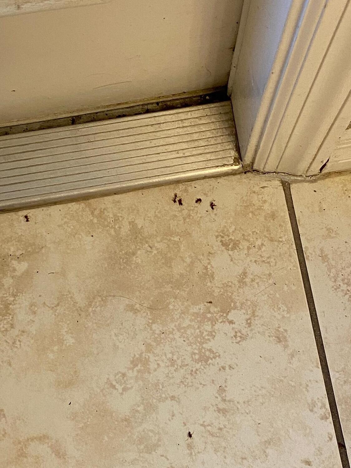 Pictures of the property