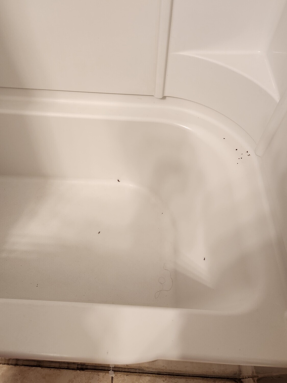 Pictures of the property