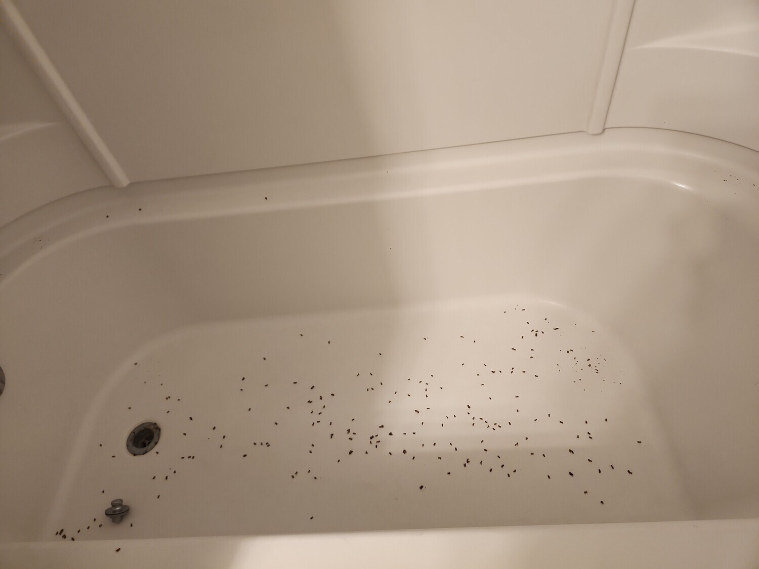 Pictures of the property