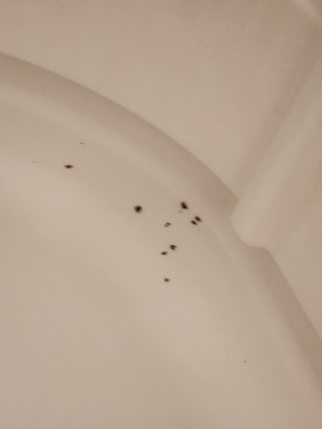 Pictures of the property