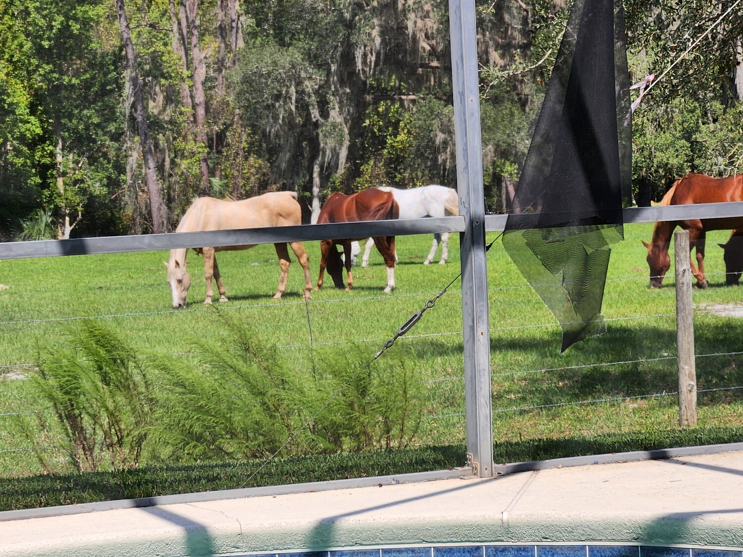 Pictures of the property
