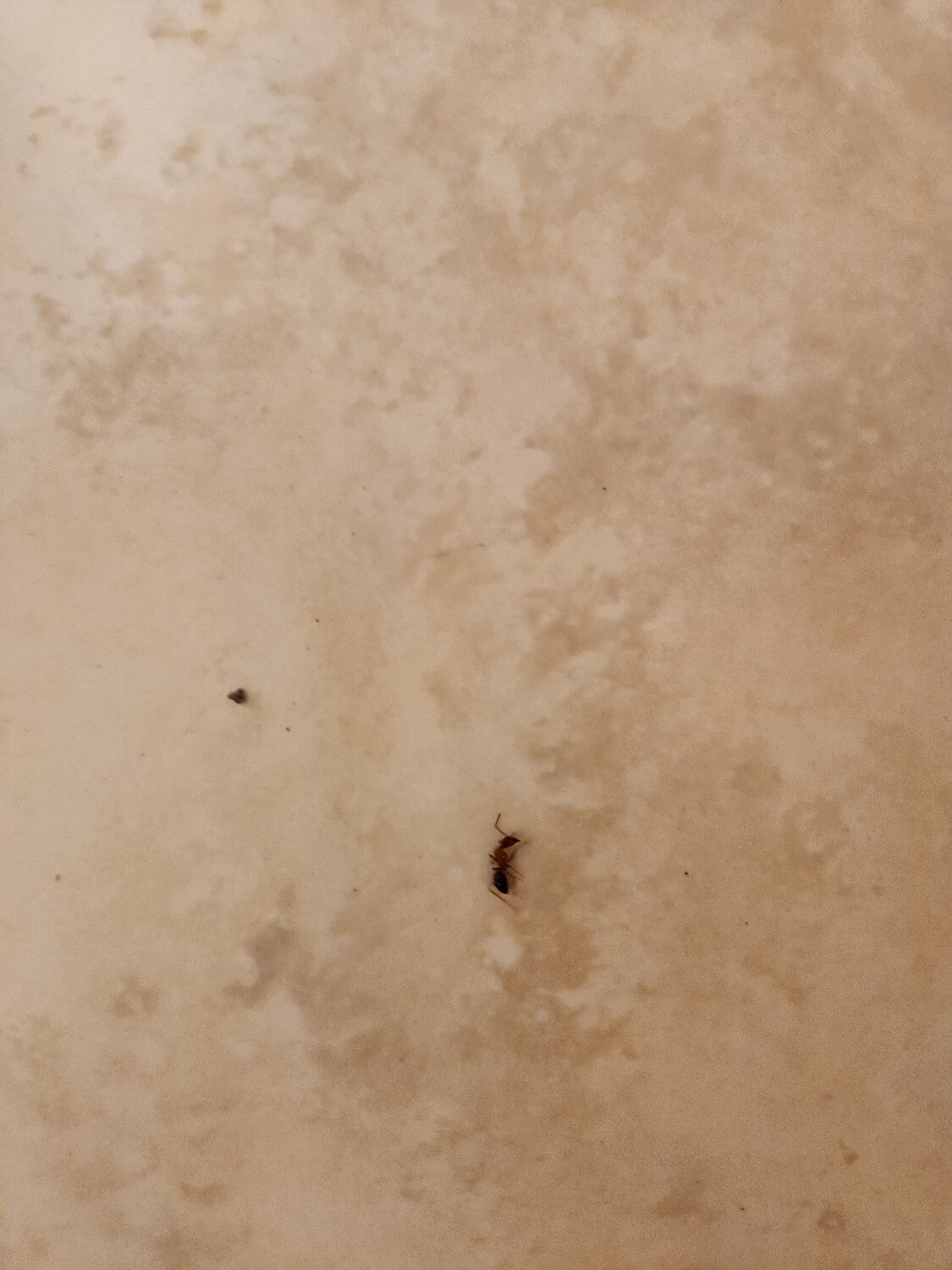 Pictures of the property