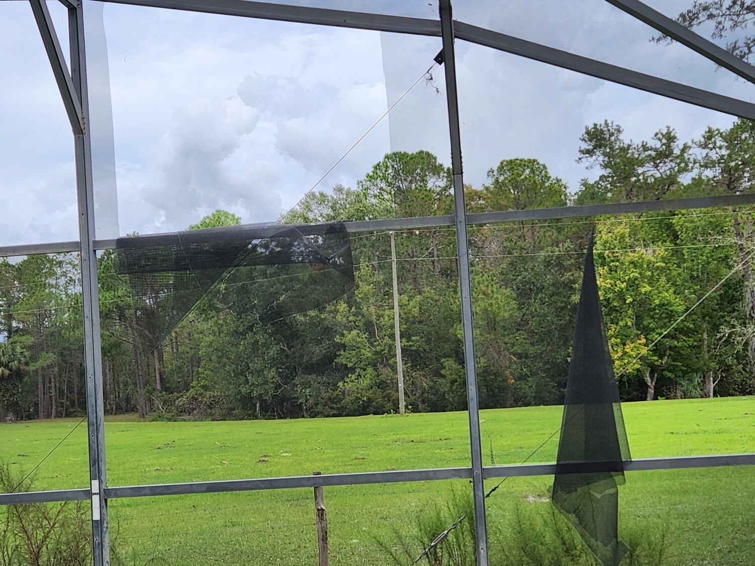 Pictures of the property