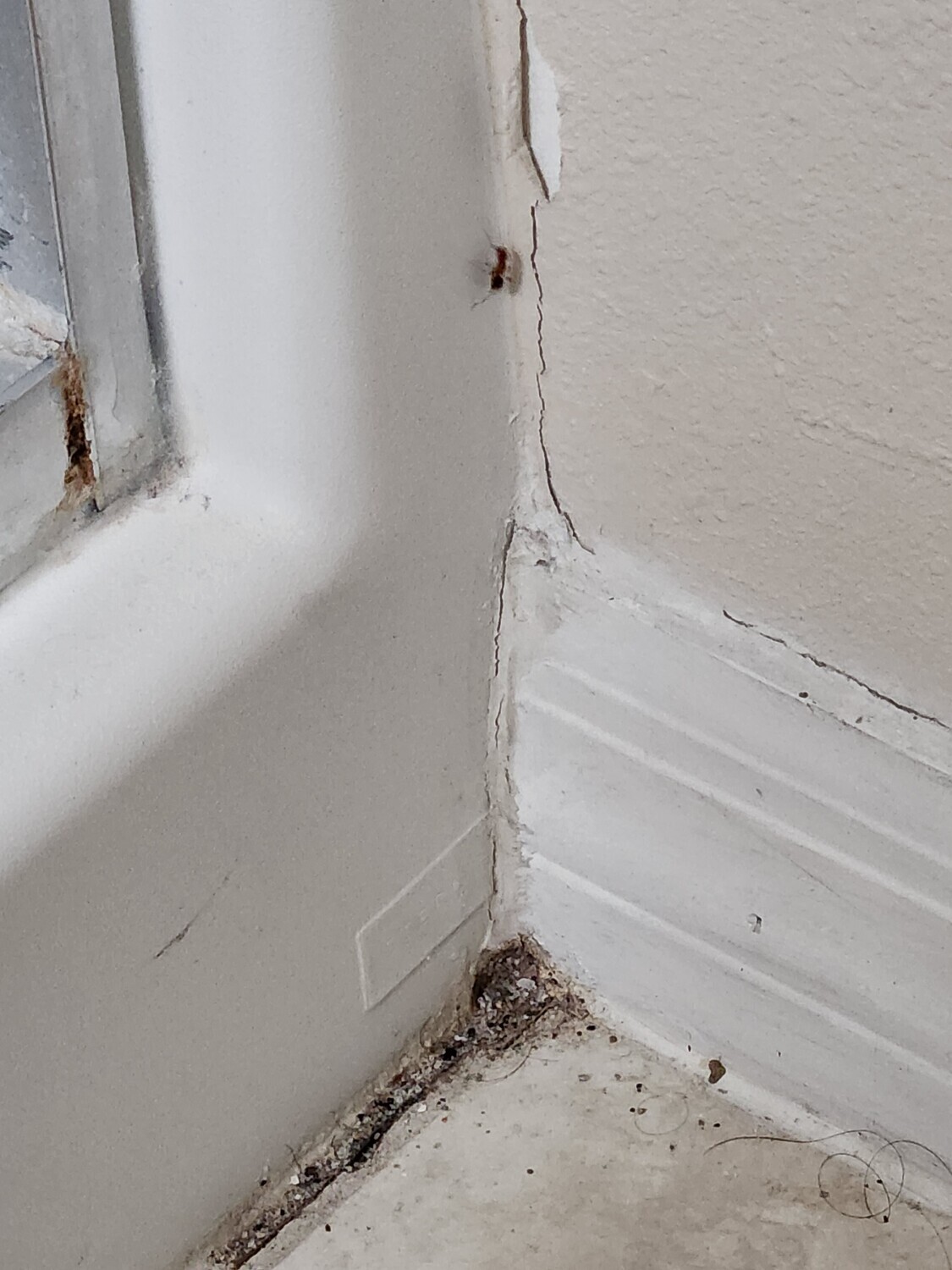 Pictures of the property