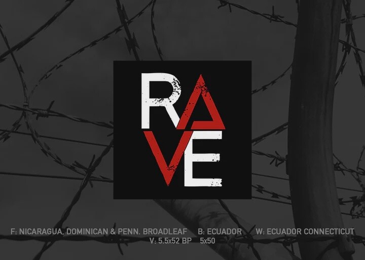 Dissident - Rave