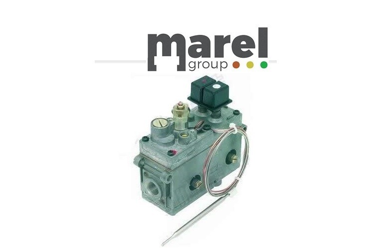 VALVOLA MINISIT FRIGGITRICE 110 190 GRADI C
