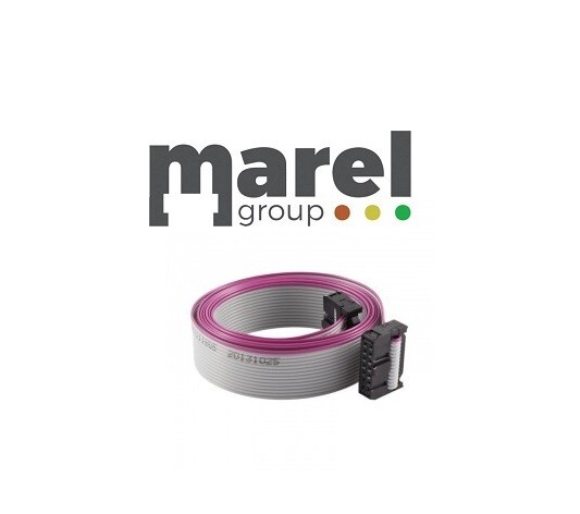 Cavo flat con connettore 10 poli
Lunghezza: 150 cm
