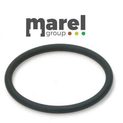O-RING 147 VYTON CIALDA FROG PZ5