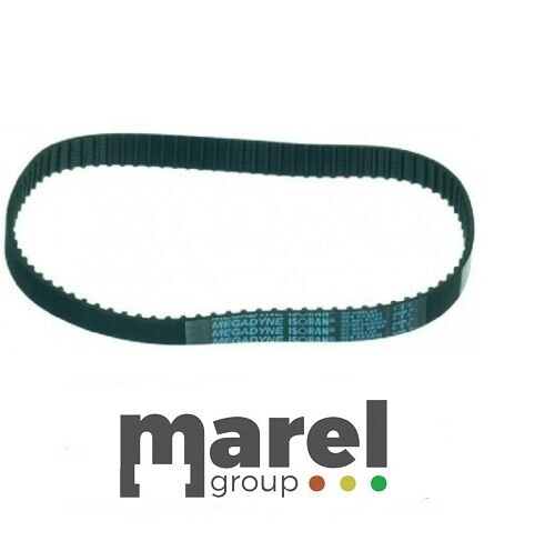 CINGHIA DENTATA 180 XL 050 H13
