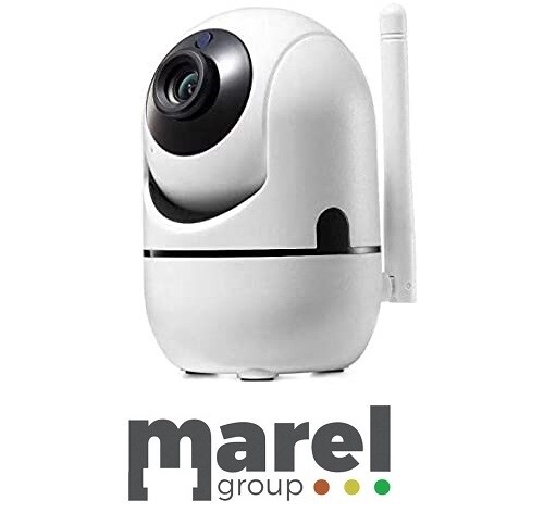 Telecamera sorveglianza Tecno TC-1013WF - 2.8mm lens，visone notturna con 6 Array Led - CLoud Serves - TF Card - 1080P