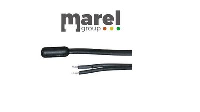SONDA NTC d. 6x15 1500mm IP67