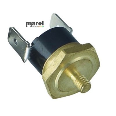 TERMOSTATO 95 GRADI A VITE