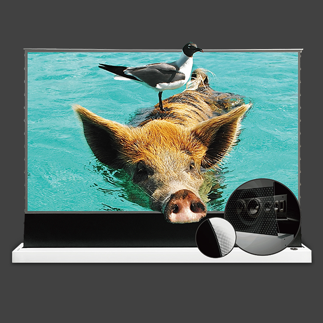 Vividstorm S Pro P Electric Acoustically Transparent Floor Screen (White Casing)