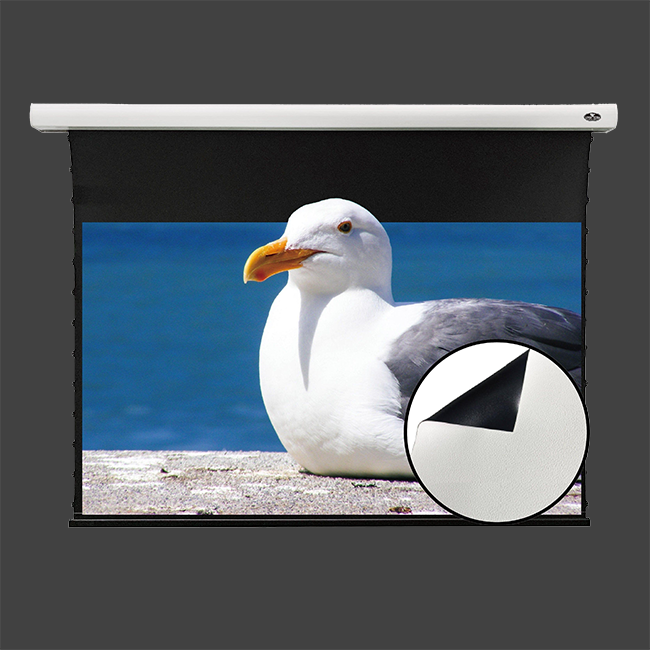 Vividstorm Slimline Drop Down Tension Screen - White Cinema (White Casing)