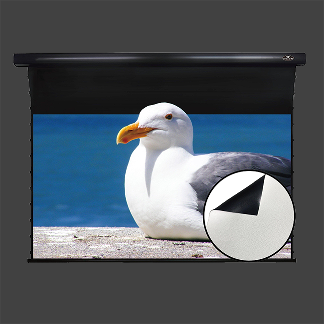 Vividstorm Slimline Drop Down Tension Screen - White Cinema