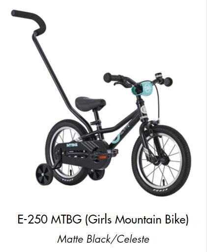 E-250 Kids Bike