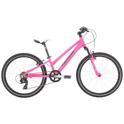 Matts J24 Girls 24 inch - Pink (Barbie Blue/Grey)