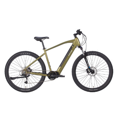 23 Ascent Pulse 29