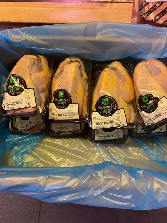 Guinea fowl
