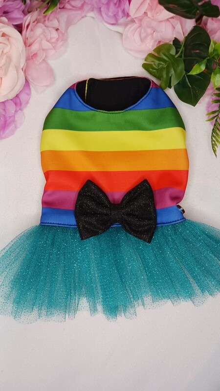 rainbow dress