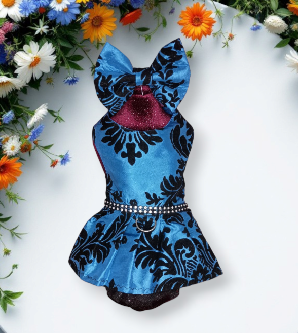Blue and Black elegance (xxsmall)