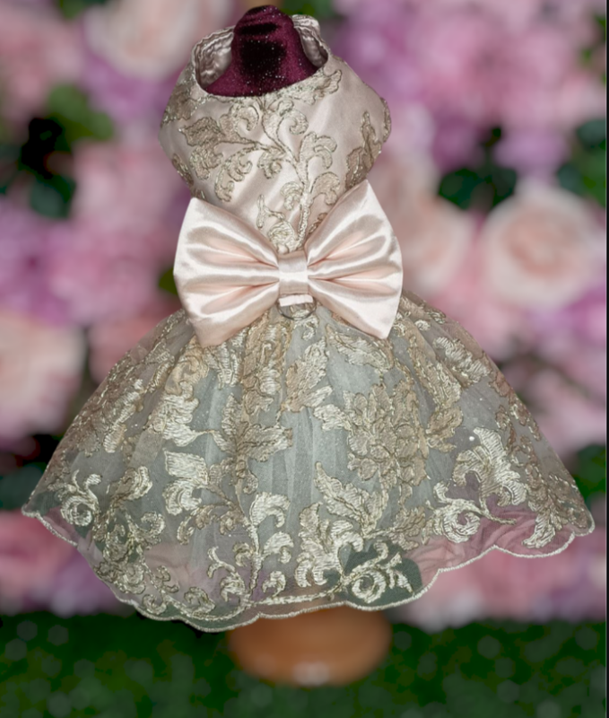 Blush Pink (medium)