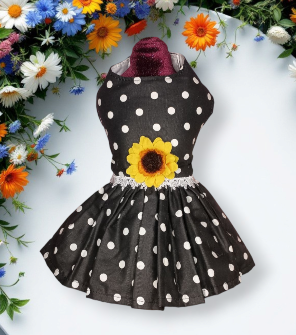 Polka dot (xsmall)