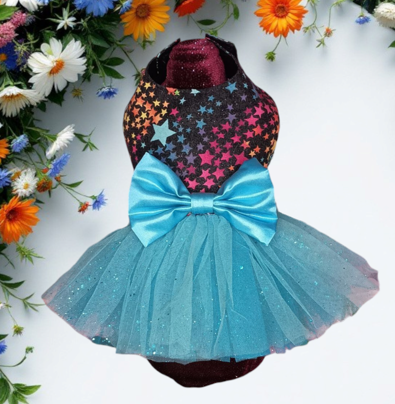 Starling Rainbow (xsmall)