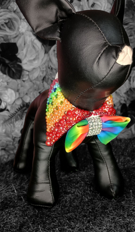 Pride Collar and Bowtie 