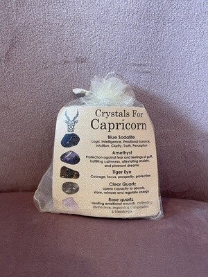 CAPRICORN Crystals Set ZODIAC HOROSCOPE