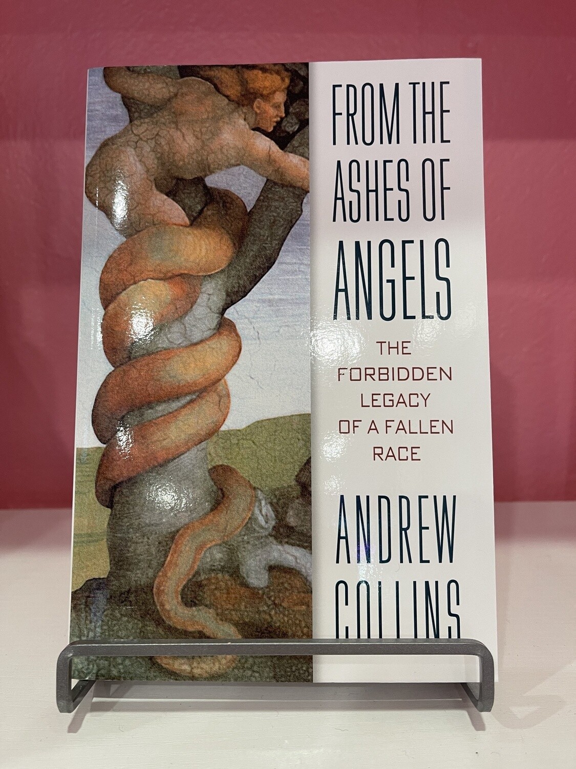 From the Ashes of Angels: The Forbidden Legacy of a Fallen Race (Original)