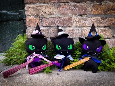 Witch Cat With Broom