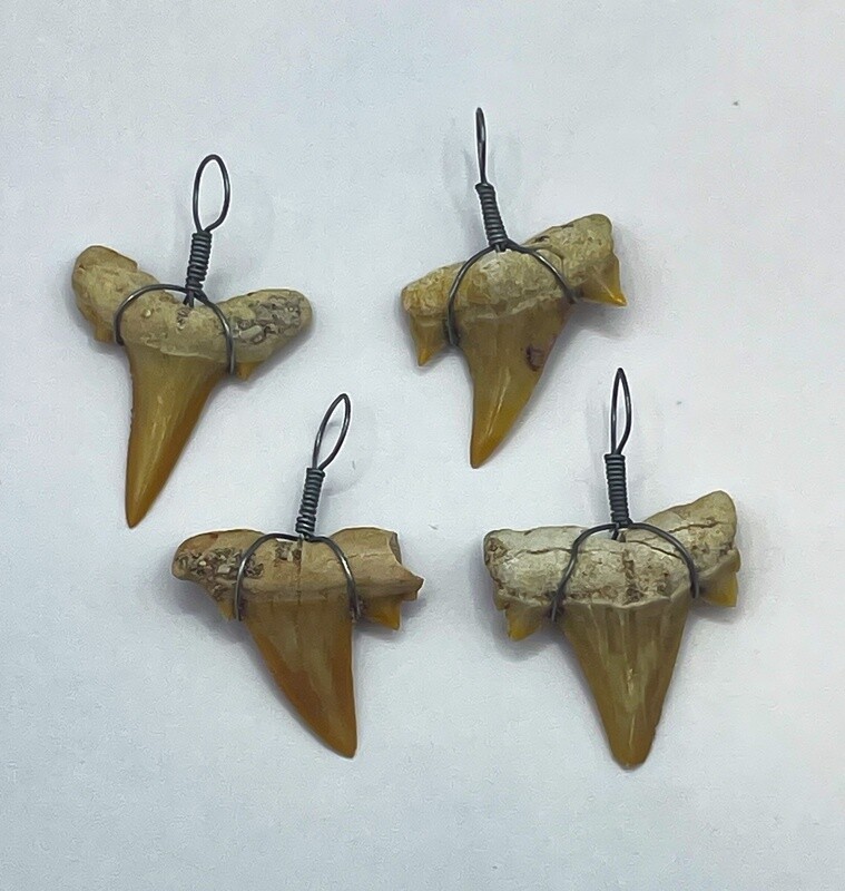 Fossilized Shark Tooth Pendant
