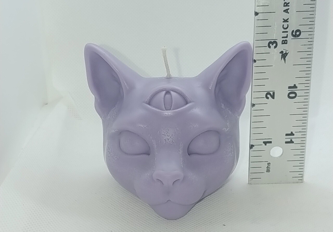 3rd eyed mystical cat head-Purple
