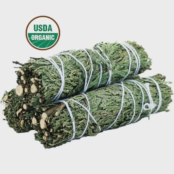 Cedar Sage 4&quot;