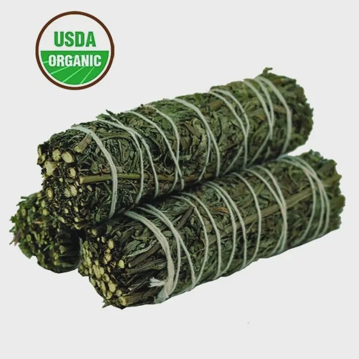 Mugwort Sage 4&quot;
