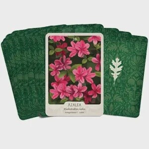 The Southern Botanic Oracle