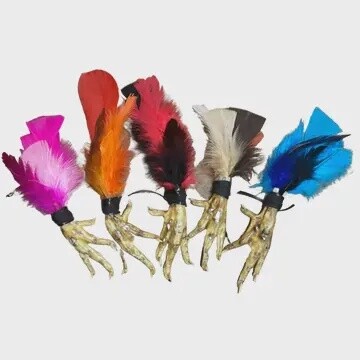 New Orleans Hoodoo Chicken Foot Amulet