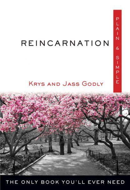 Reincarnation Plain &amp; Simple