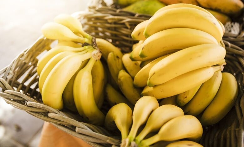 Bananes - BIO DO