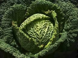 Chou vert - EPICURIE