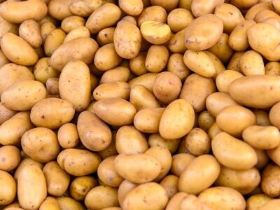 Pomme de terre Allians  (chaire ferme) - BIO. BE
